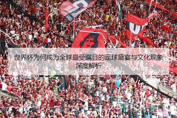 世界杯为何成为全球最受瞩目的足球盛宴与文化现象深度解析