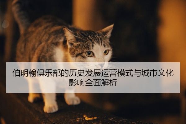 伯明翰俱乐部的历史发展运营模式与城市文化影响全面解析