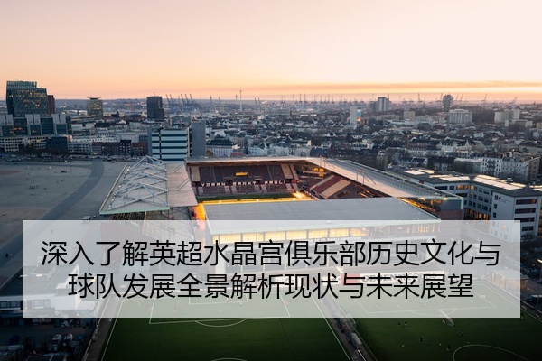 深入了解英超水晶宫俱乐部历史文化与球队发展全景解析现状与未来展望