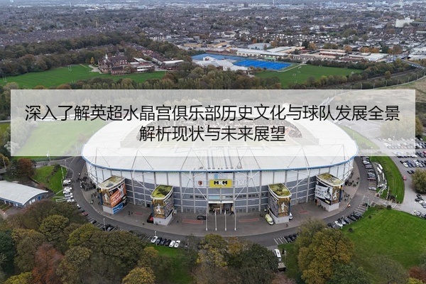 深入了解英超水晶宫俱乐部历史文化与球队发展全景解析现状与未来展望