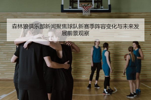 森林狼俱乐部新闻聚焦球队新赛季阵容变化与未来发展前景观察