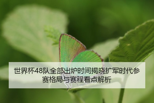 世界杯48队全部出炉时间揭晓扩军时代参赛格局与赛程看点解析