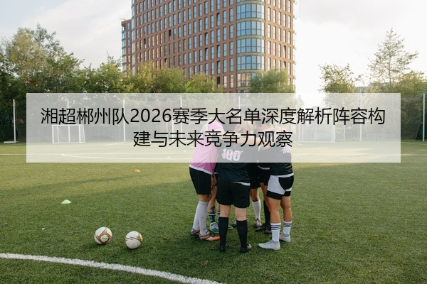 湘超郴州队2026赛季大名单深度解析阵容构建与未来竞争力观察