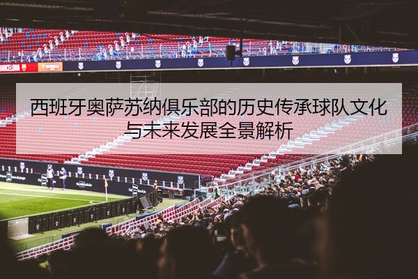 西班牙奥萨苏纳俱乐部的历史传承球队文化与未来发展全景解析