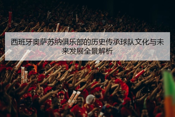 西班牙奥萨苏纳俱乐部的历史传承球队文化与未来发展全景解析