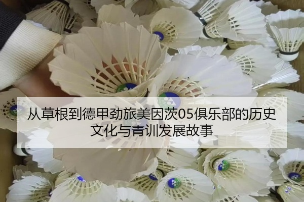 从草根到德甲劲旅美因茨05俱乐部的历史文化与青训发展故事