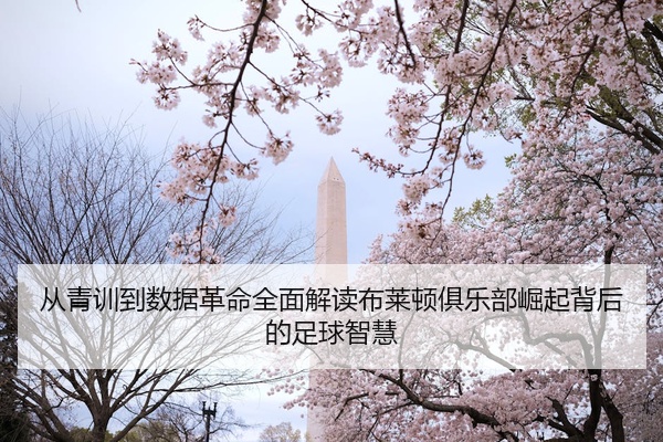 从青训到数据革命全面解读布莱顿俱乐部崛起背后的足球智慧