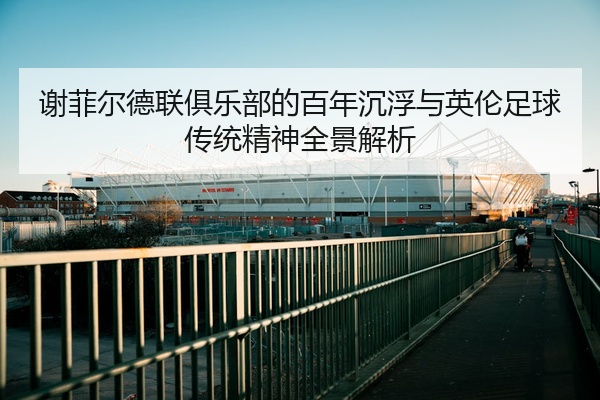 谢菲尔德联俱乐部的百年沉浮与英伦足球传统精神全景解析