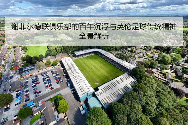 谢菲尔德联俱乐部的百年沉浮与英伦足球传统精神全景解析