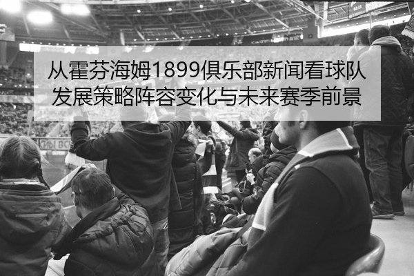 从霍芬海姆1899俱乐部新闻看球队发展策略阵容变化与未来赛季前景