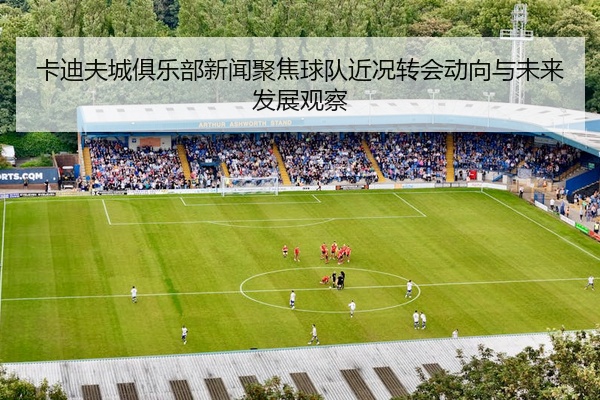 卡迪夫城俱乐部新闻聚焦球队近况转会动向与未来发展观察