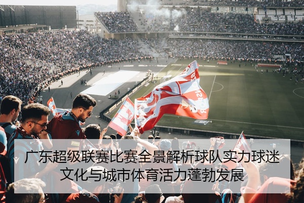 广东超级联赛比赛全景解析球队实力球迷文化与城市体育活力蓬勃发展