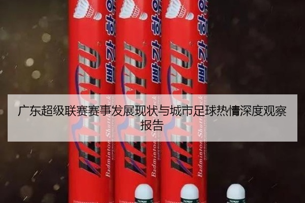 广东超级联赛赛事发展现状与城市足球热情深度观察报告