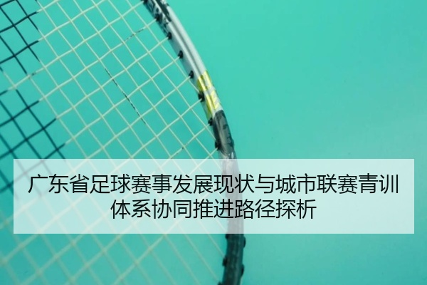 广东省足球赛事发展现状与城市联赛青训体系协同推进路径探析