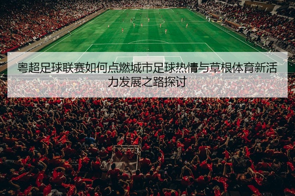 粤超足球联赛如何点燃城市足球热情与草根体育新活力发展之路探讨