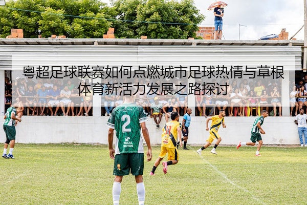 粤超足球联赛如何点燃城市足球热情与草根体育新活力发展之路探讨